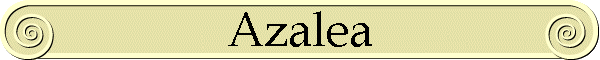 Azalea