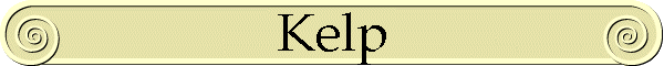 Kelp