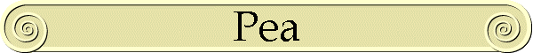 Pea