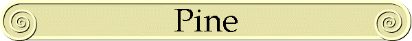 Pine