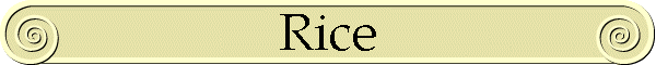 Rice