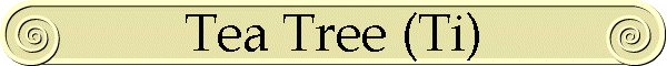 Tea Tree (Ti)